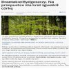 Brutalnie zgwałcił swoją 14letnią córkę...