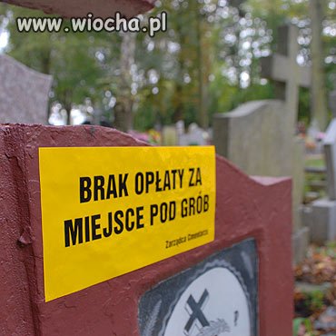 Zamiast wysłać powiadomienie do domu to kleili