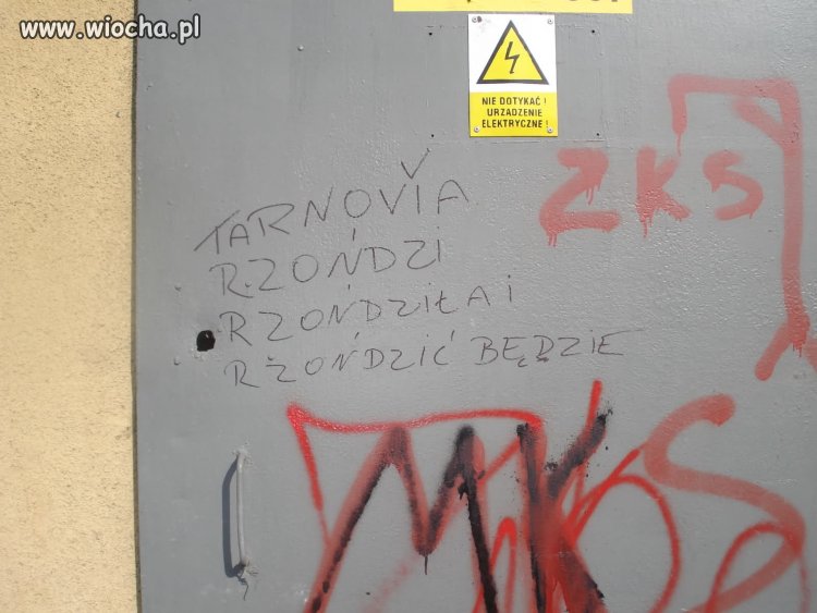 Miszcz ortografii