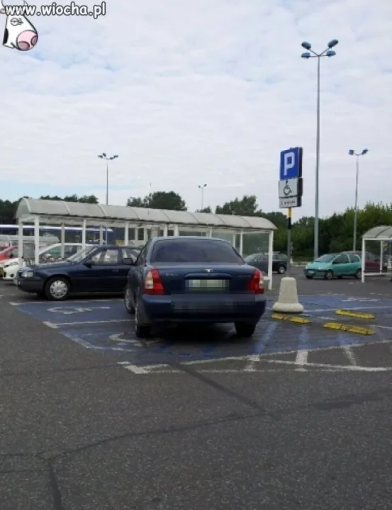 Tak niepełnosprawni to tylko w Łodzi ...