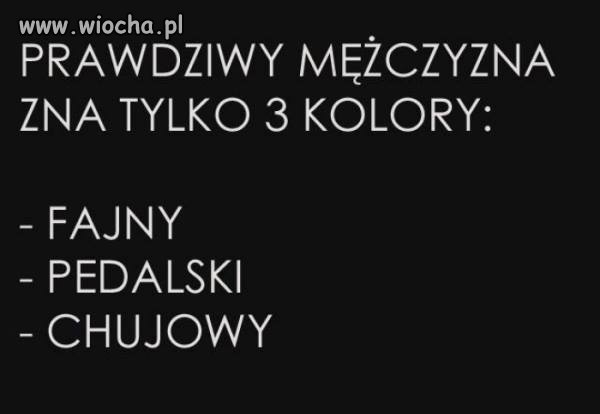 Bez komentarza 
