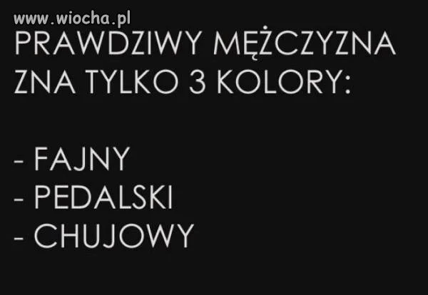 Bez komentarza 