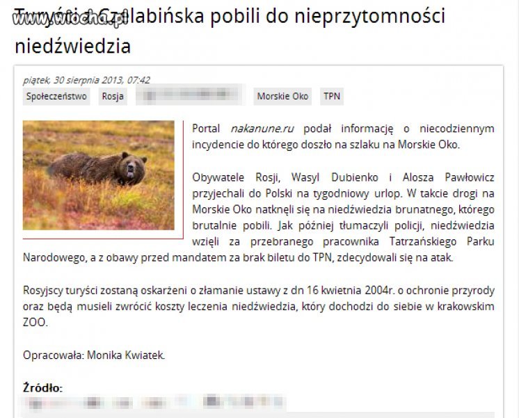 Turyści z Rosji vs niedźwiedź. 