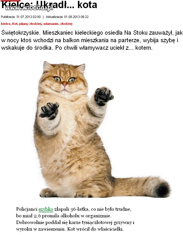 Coś z serii odpały po alkoholu 