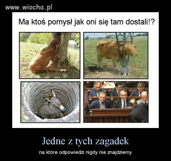 Na nie które pytania nie znamy odpowiedzi