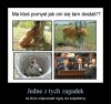 Na nie które pytania nie znamy odpowiedzi