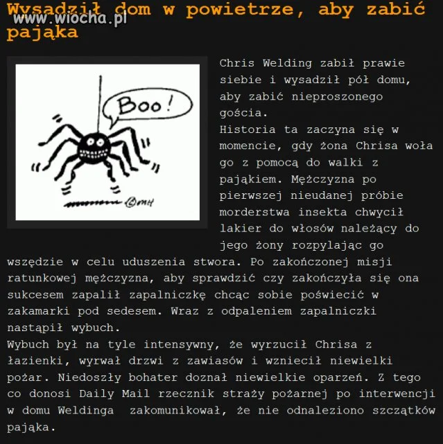 Chciał zabić pająka.