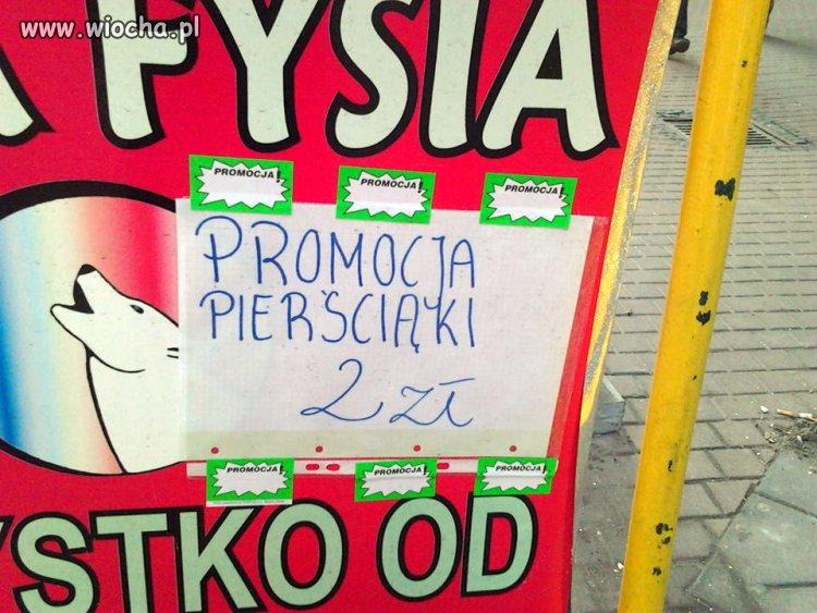 Poproszem dla mojej Kohanej Rzony 