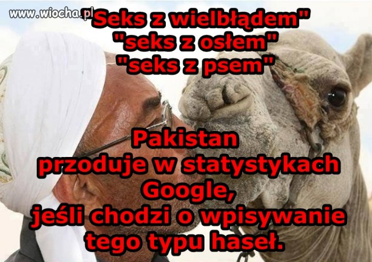 Preferencje seksualne
