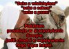 Preferencje seksualne
