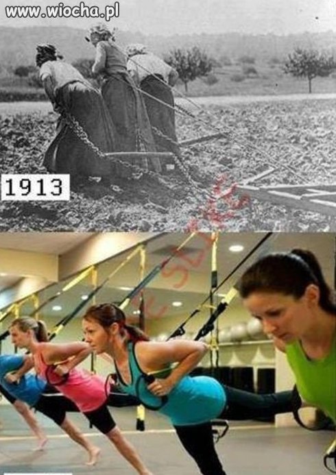 Fitness 
