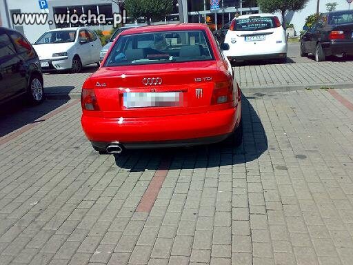 Galeria lider w żywcu 11-08-13
