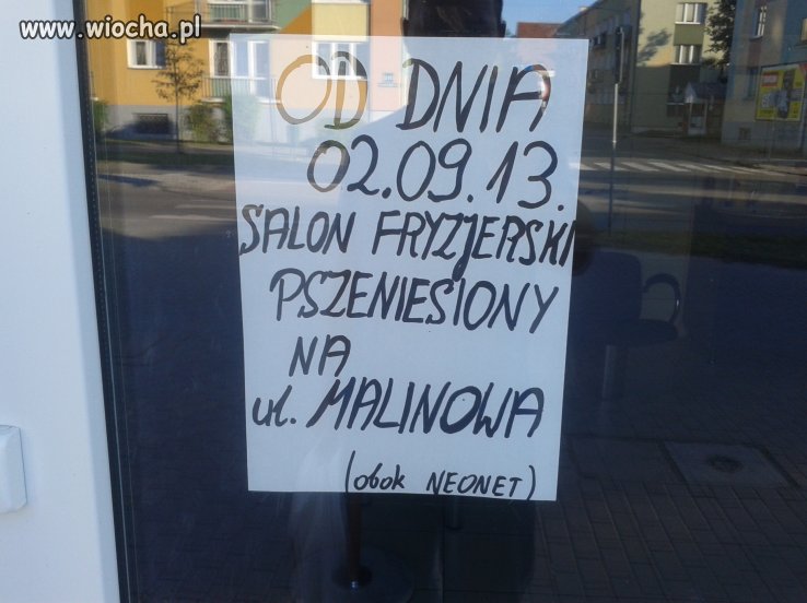 Polska ortografia 