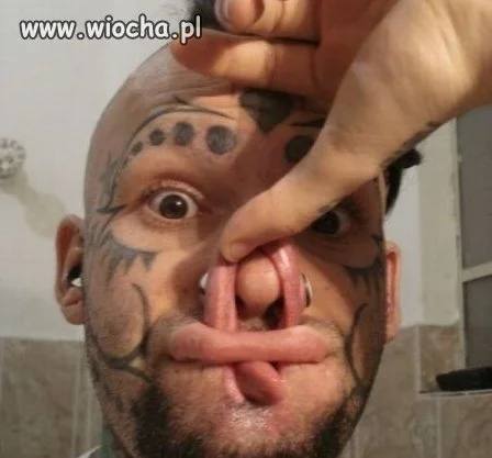 Głupich nie żal...