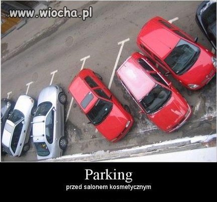 To są dopiero mistrzowie parkowania