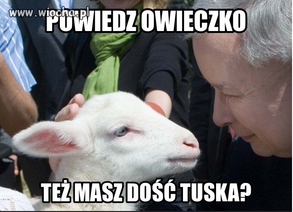 Tak... Od dawna