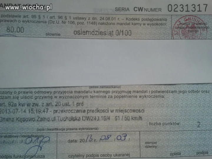 Inteligentny agent straży wiejskiej 010