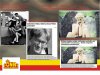 Hipokryzja pewnej gazety