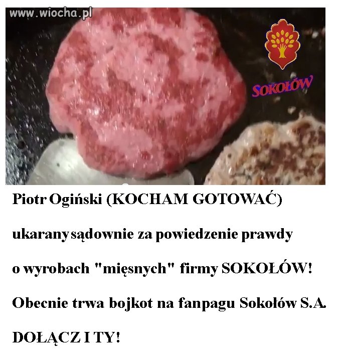 BRAK WOLNOŚCI SŁOWA W INTERNECIE