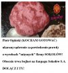 BRAK WOLNOŚCI SŁOWA W INTERNECIE