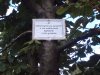 Tymczasem na cmentarzu 