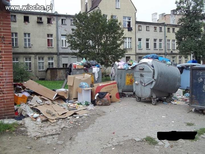 Widok na podwórko na jednym z Wrocławskich osiedli
