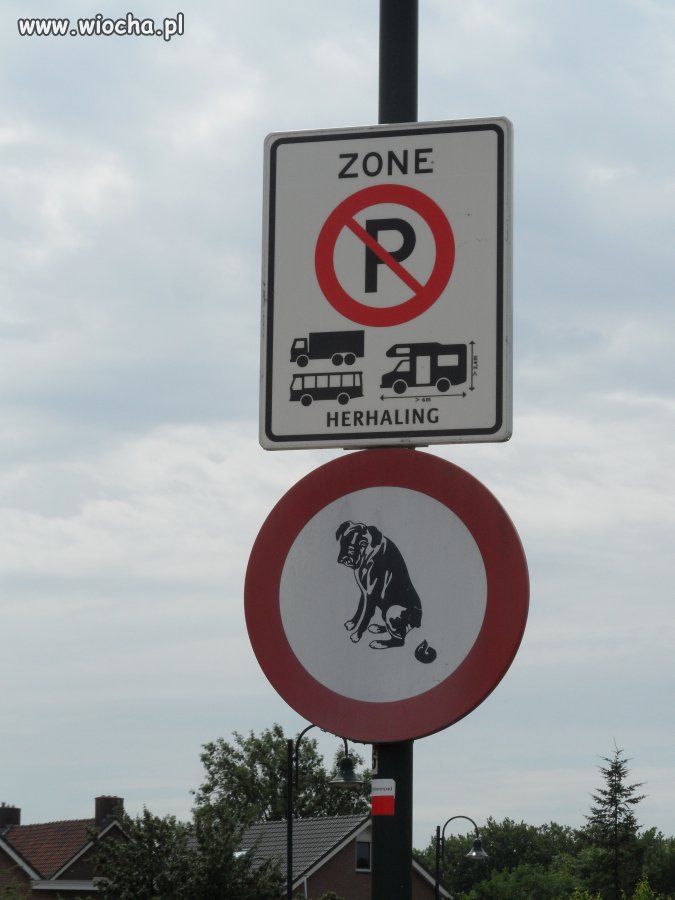 Omiń kupkę...