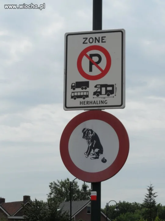 Omiń kupkę...