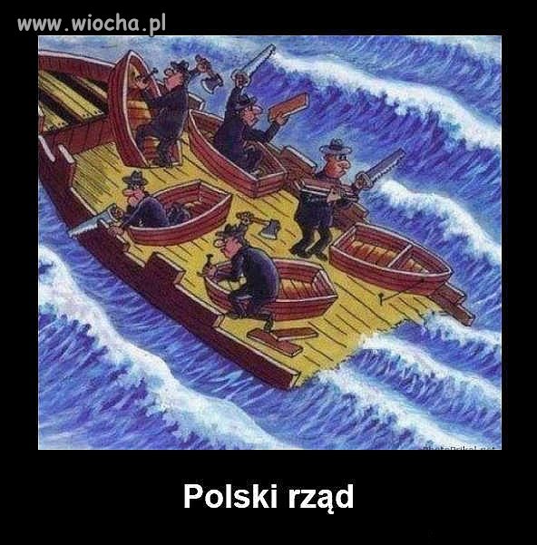 Każdy sobie rzepkę skrobie 