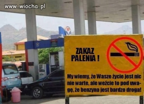 Szczerość do bólu