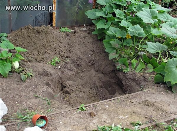 Tragedia pod Olkuszem