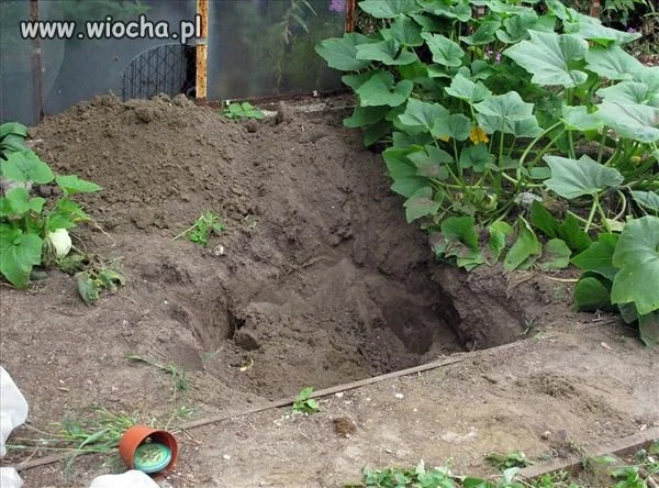 Tragedia pod Olkuszem