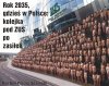 Spojrzenie w przyszłość 
