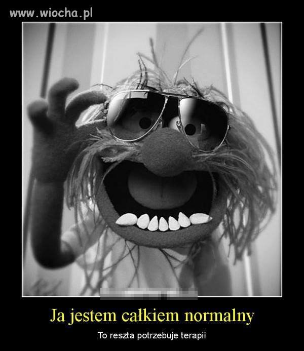 Psychol na obrazku !!!