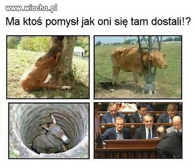 Jedne z tych zagadek