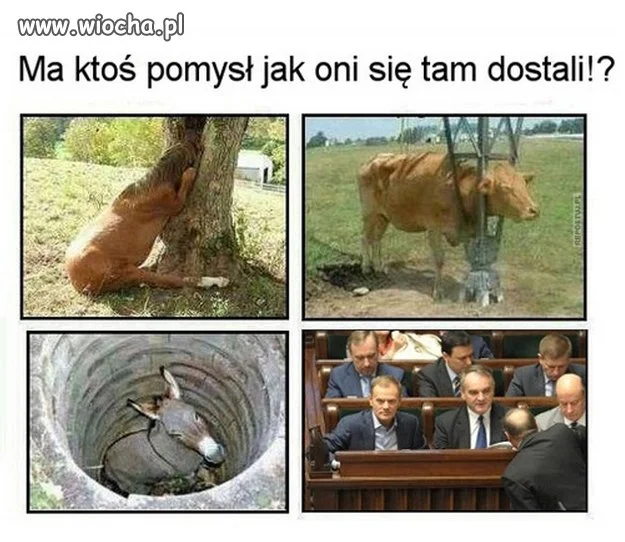 Jedne z tych zagadek