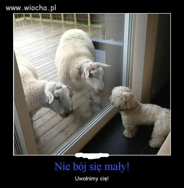 Rodzina w komplecie