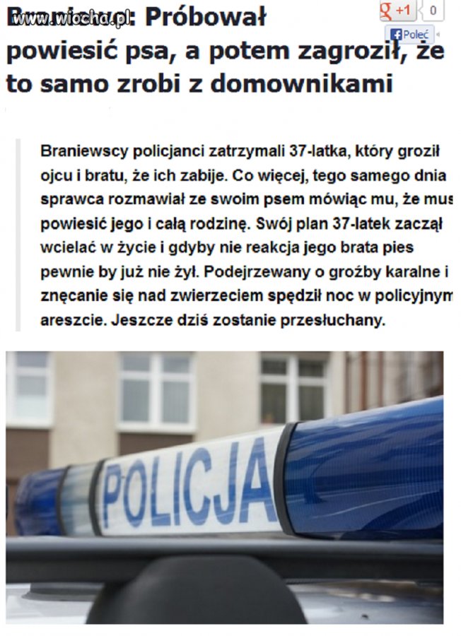 Uswiadamiał psa ,ze musi go powiesić ...