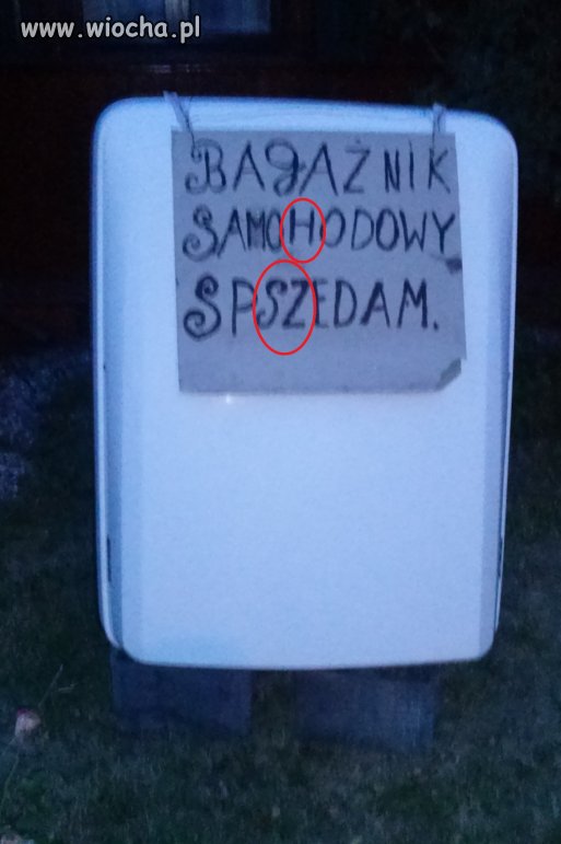 Bagażnik samoHodowy spSZedam 