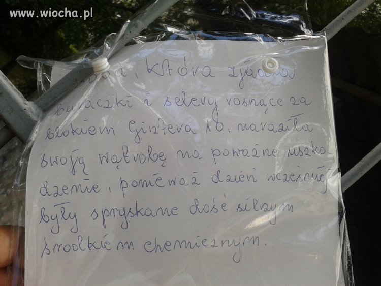 Napis na śmietniku