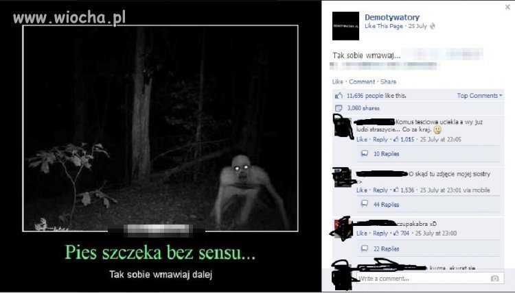 Pies szczeka...