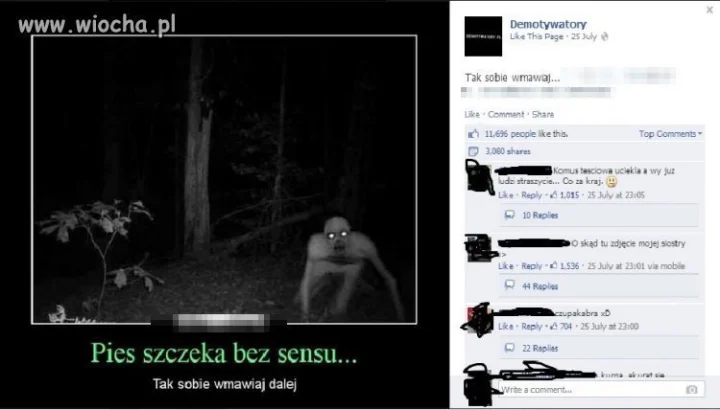 Pies szczeka...