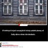 "Usuńcie bo jeszcze TUSK zobaczy"...