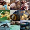 Cywilizacja vs natura