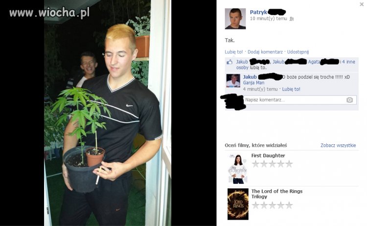 Lans na Marihuanę