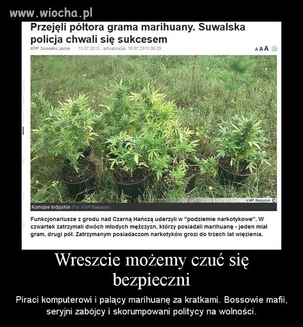 Czy to aby k*rwa nie jest śmieszne