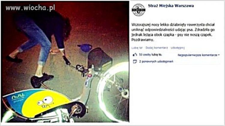 Jak uniknąć odpowiedzialności