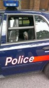 Sami widzicie-świnia nie policja