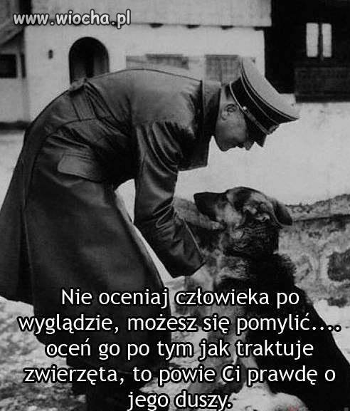 Mądrości ludowe