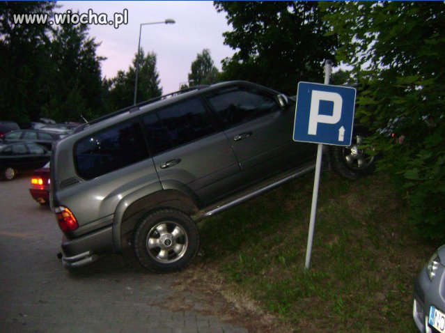 Mistrz parkowania